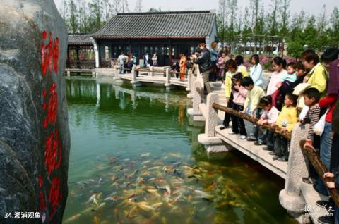 杭州湘湖旅游区旅游攻略 之 湘浦观鱼