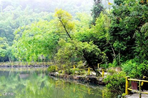 肇庆广宁宝锭山旅游景区旅游攻略 之 君子园