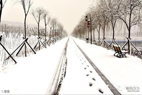 山西孝河国家湿地公园旅游攻略 之 雪景