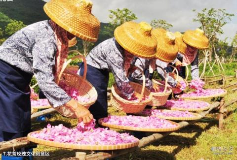 三亚亚龙湾国际玫瑰谷旅游攻略 之 花茶玫瑰文化创意区