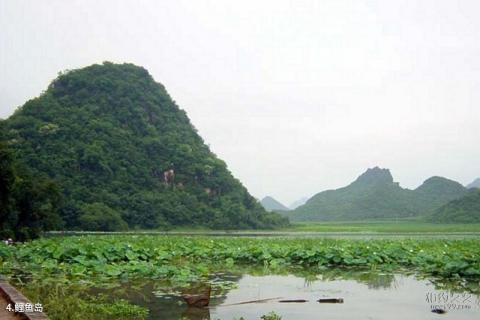 研山浴仙湖旅游攻略 之 鲤鱼岛