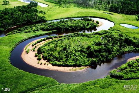 黑龙江南瓮河国家级自然保护区旅游攻略 之 湿地