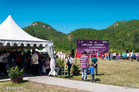 北京波龙堡酒庄旅游攻略 之 葡萄酒文化节