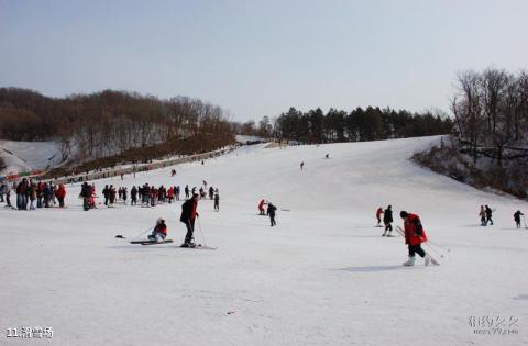 吉林朱雀山国家森林公园旅游攻略 之 滑雪场