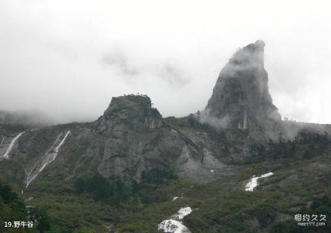 云南贡山旅游攻略 之 野牛谷