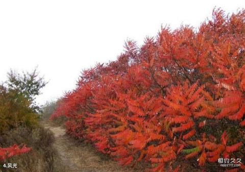 铁岭大台山灵山寺风景区旅游攻略 之 风光