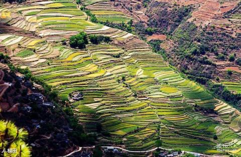 丽江宝山石头城旅游攻略 之 梯田