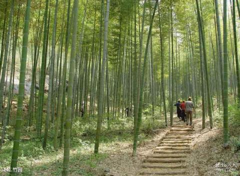 泰安徂徕山国家森林公园旅游攻略 之 竹园