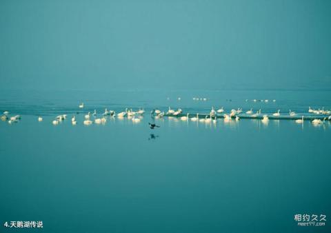 荣成天鹅湖生态旅游区旅游攻略 之 天鹅湖传说