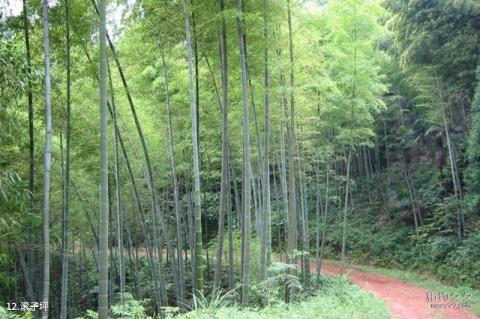 重庆黑石山滚子坪风景区旅游攻略 之 滚子坪