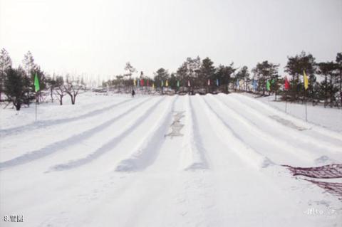 龙井马蹄山旅游度假区旅游攻略 之 雪圈