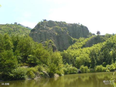 大冶雷山风景区旅游攻略 之 古松