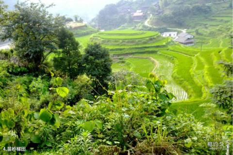 融水元宝山龙女沟旅游攻略 之 苗岭梯田