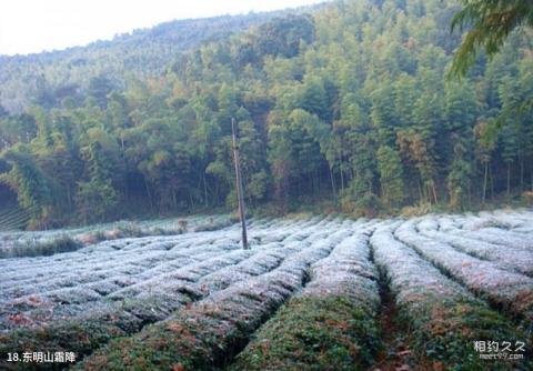 杭州东明山森林公园旅游攻略 之 东明山霜降