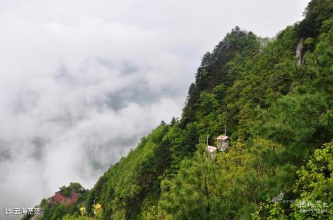 汉中天台森林公园旅游攻略 之 云海茫茫