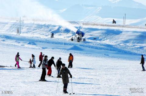 乌鲁木齐丝绸之路国际度假区旅游攻略 之 滑雪场