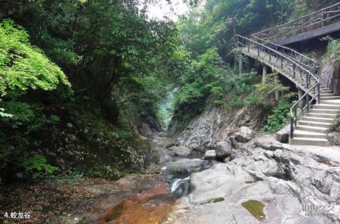 瑞安花岩国家森林公园旅游攻略 之 蛟龙谷