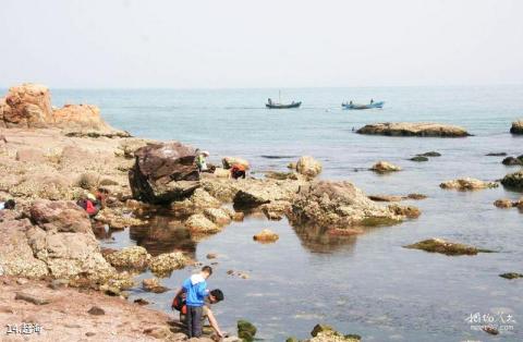 山东威海鸡鸣岛旅游攻略 之 赶海