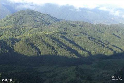 景宁草鱼塘森林公园旅游攻略 之 敕木山