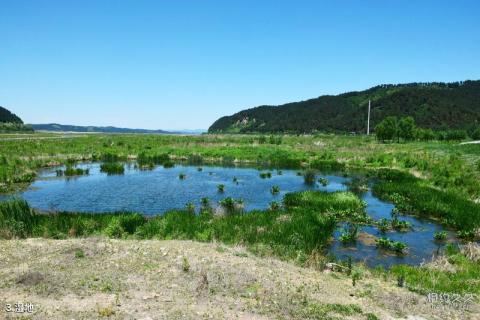 抚顺社河河口湿地旅游攻略 之 湿地