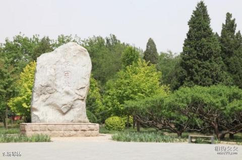 北京兴隆公园旅游攻略 之 将军林