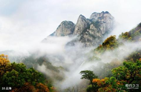 岳西明堂山风景区旅游攻略 之 云海