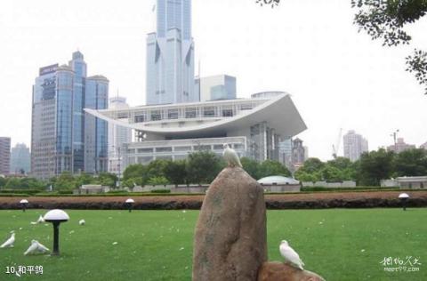 上海人民广场旅游攻略 之 和平鸽