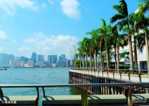 香港金紫荆广场旅游攻略 之 海滨长廊