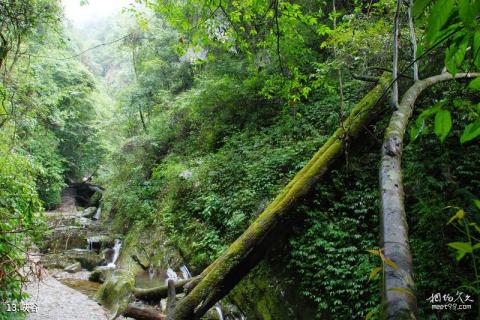 贵州亚木沟风景区旅游攻略 之 峡谷