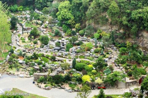 上海辰山植物园旅游攻略 之 岩石和药用植物园