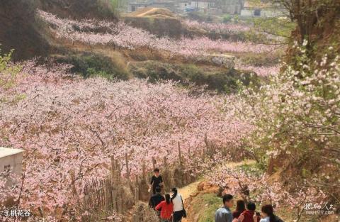 肥城刘台桃花源景区旅游攻略 之 桃花谷