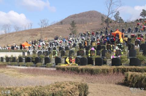 辽宁观陵山艺术园林旅游攻略 之 公墓