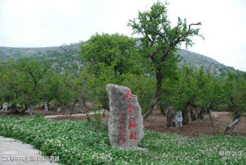 枣庄冠世榴园旅游区旅游攻略 之 枣庄农业高科技示范园