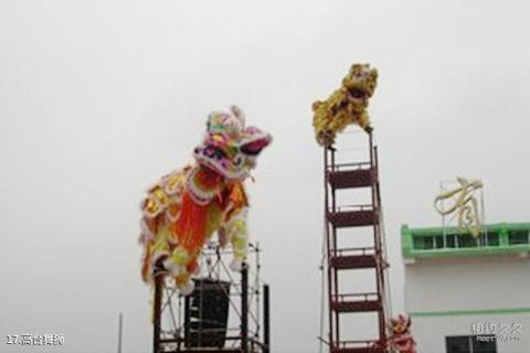 遵义凤冈茶海之心景区旅游攻略 之 高台舞狮