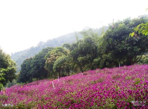 英德宝晶宫旅游攻略 之 狮子山