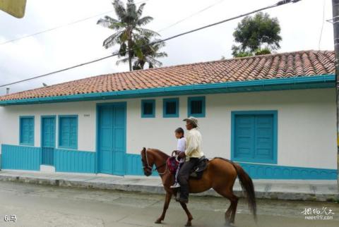 哥伦比亚萨伦托小镇旅游攻略 之 马