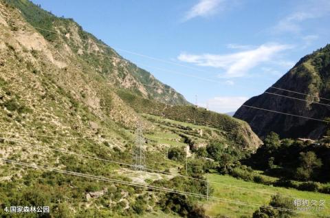 甘南腊子口风景区旅游攻略 之 国家森林公园