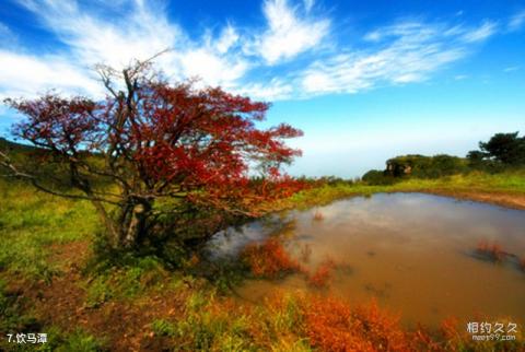 山西百梯山风景名胜区旅游攻略 之 饮马潭