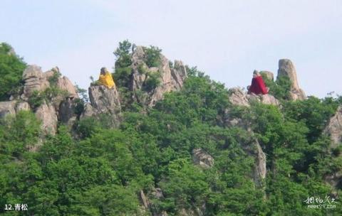 丹东五龙山景区旅游攻略 之 青松