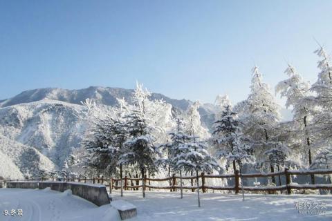 安康化龙山国家级自然保护区旅游攻略 之 冬景