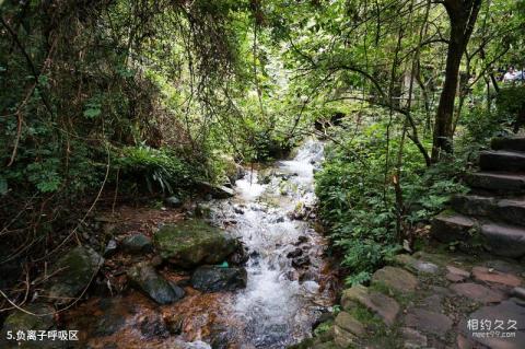 杭州千岛湖森林氧吧旅游攻略 之 负离子呼吸区