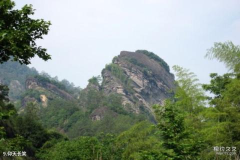 武夷山慧苑禅寺旅游攻略 之 仰天长笑