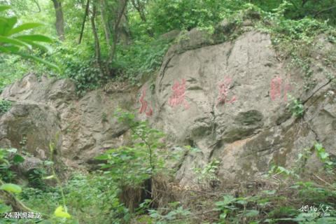 南京老山国家森林公园旅游攻略 之 卧虎藏龙