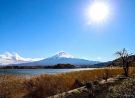 日本赏枫攻略 | 完美的枫叶富士！