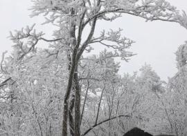 2020年的第一场雪之大寺基