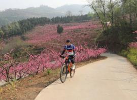 骑行韦曲南→柳泉口村100KM&amp;赏满山桃花